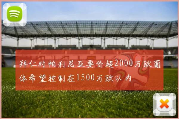 拜仁对帕利尼亚要价超2000万欧葡体希望控制在1500万欧以内