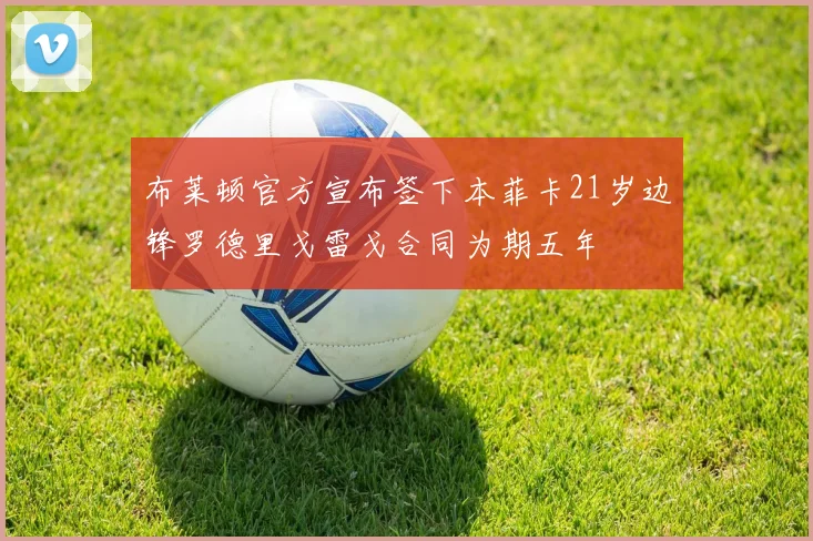 布莱顿官方宣布签下本菲卡21岁边锋罗德里戈雷戈合同为期五年